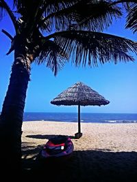 Palm trees on beach