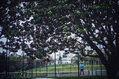 Footpath in park