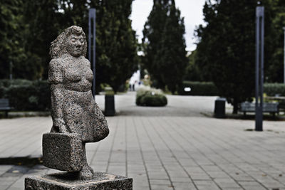 Close-up of statue in park