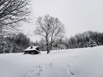 Snow covered bare trees and buildings against sky