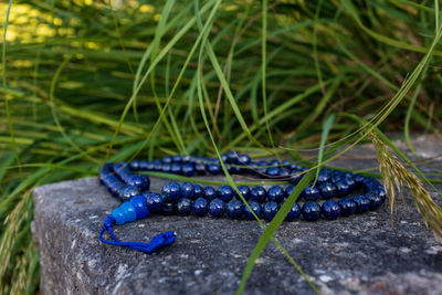 Close up of mala beads made of lapis lazuli. mantra meditation in nature.