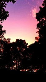 Silhouette trees against sky during sunset