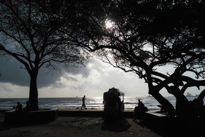 Silhouette of trees at seaside