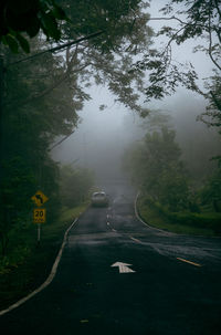 Road amidst trees