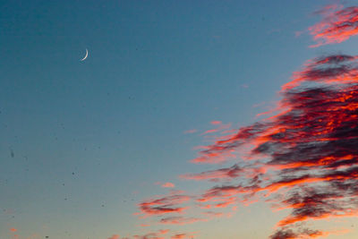 Low angle view of moon in sky