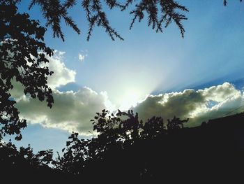 Low angle view of silhouette trees against sky