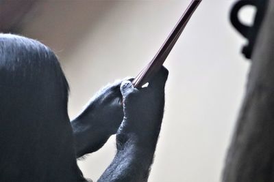 Close-up of person against sky