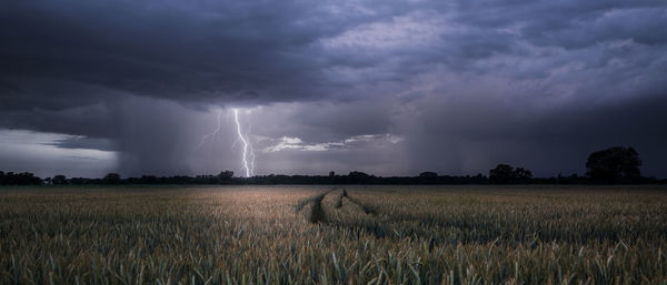 Lightning strike during a summer thunderstorm near rastatt plittersdorf