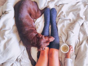 Low section of woman having coffee while sitting by dog on bed