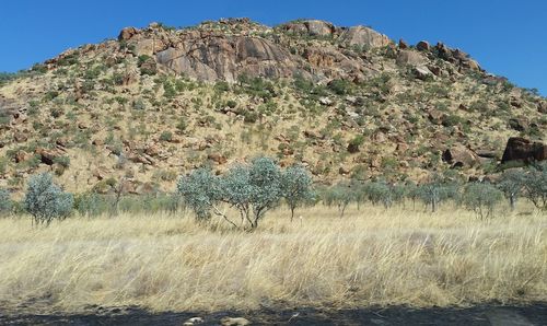 Scenic view of landscape against clear sky