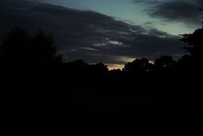 Silhouette trees against sky during sunset