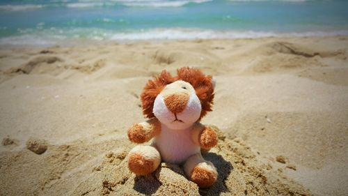 Close-up of child on beach