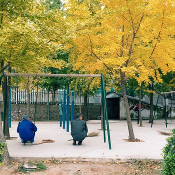 PEOPLE IN PARK