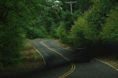 Empty road along trees with  indistinguishable car