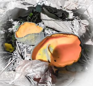 High angle view of orange in plastic