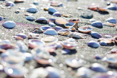 Close-up of stones on beach