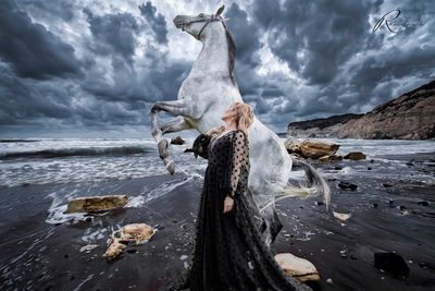 Panoramic view of driftwood on beach against sky