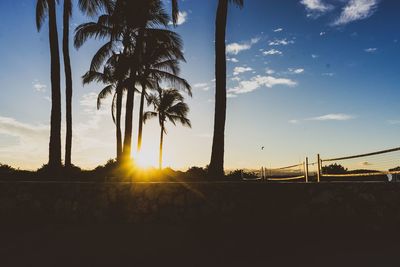 Silhouette palm trees against sky during sunset