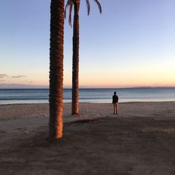 Rear view of man on beach during sunset