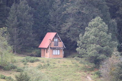 House on mountain by trees in forest