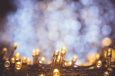 Close-up of illuminated string lights