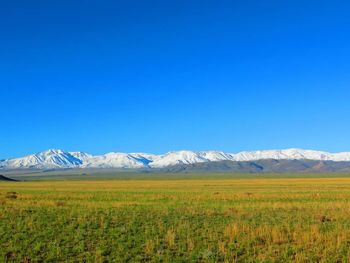 Scenic view of snowcapped mountains against clear sky