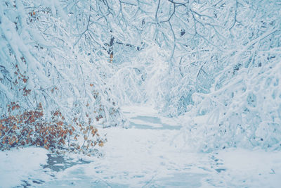 Full frame shot of snow covered field