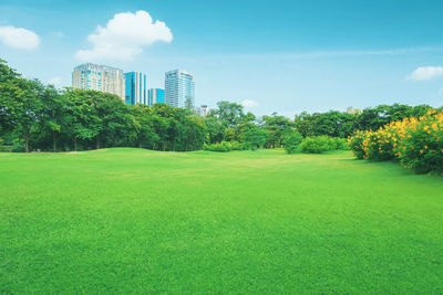 Trees growing on field against buildings in city against sky