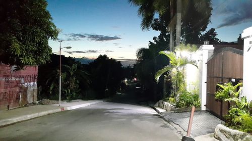 Palm trees by plants against sky