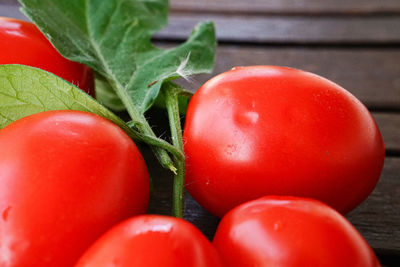 Close-up of tomatoes on table