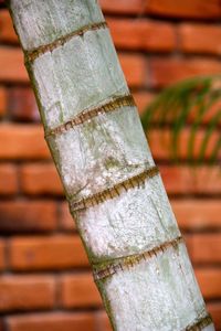 Close-up of wood against wall