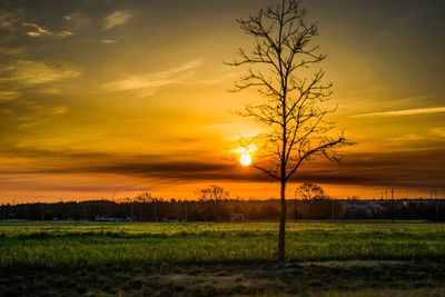 Scenic view of field against sky during sunset