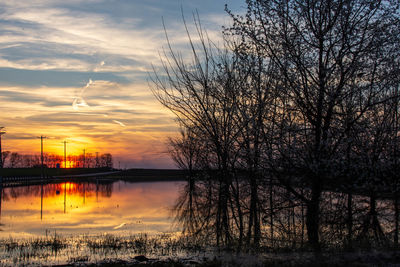 Silhouette bare trees by lake against sky during sunset