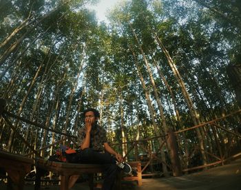 Low angle view of woman sitting by trees in forest