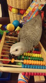 High angle view of toys in basket