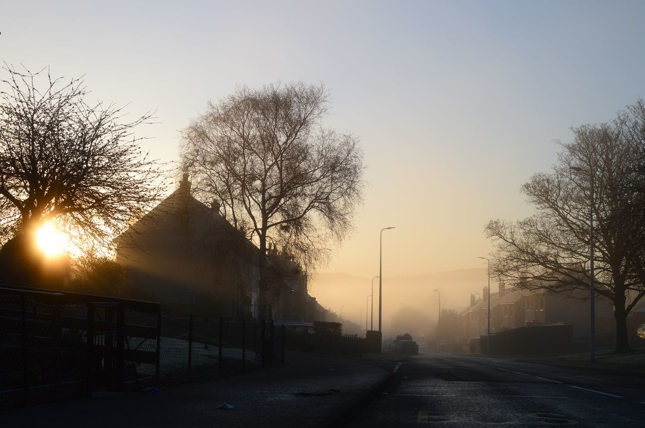 morning, tree, sky, dawn, sunrise, nature, sunlight, plant, road, architecture, transportation, street, city, sun, bare tree, no people, silhouette, built structure, light, fog, building exterior, winter, outdoors, darkness, car, the way forward, mist, back lit, beauty in nature, motor vehicle, mode of transportation, horizon, sunbeam, lens flare