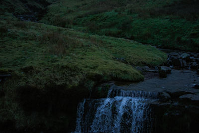 Scenic view of waterfall in forest