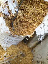 High angle view of bread