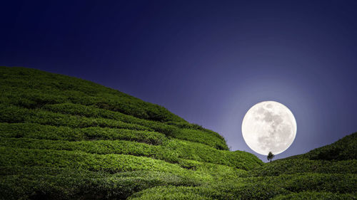 Scenic view of agricultural field against sky at  night with full moon