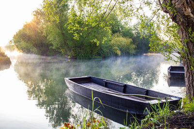 Boat moored by lake against trees