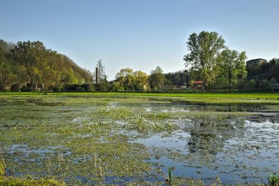 Scenic view of calm lake against clear sky