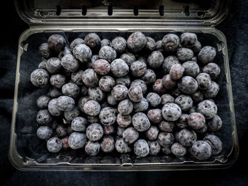 High angle view of fruits in container