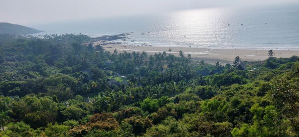 High angle view of trees by sea