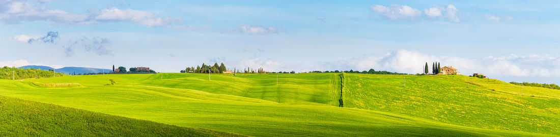 Scenic view of agricultural field against sky