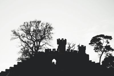 Low angle view of bare trees against sky