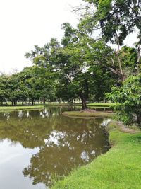 Scenic view of lake by trees against sky