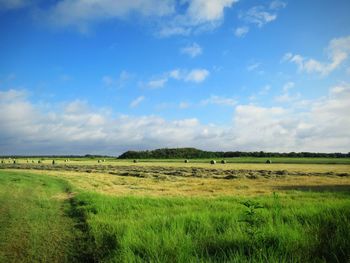 Out in the country