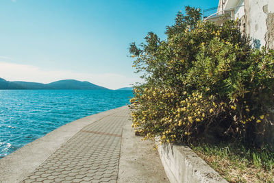 Footpath by sea against sky