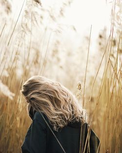 Rear view of woman with blond hair standing amidst dry plants on field