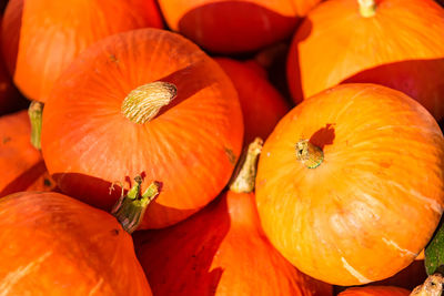 High angle view of pumpkins in market